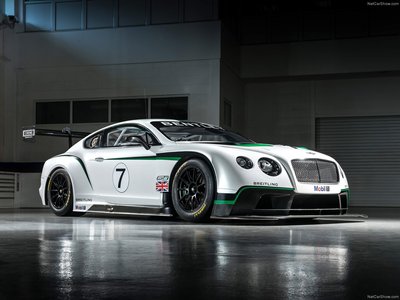 Bentley Continental GT3 Racecar 2014 tote bag