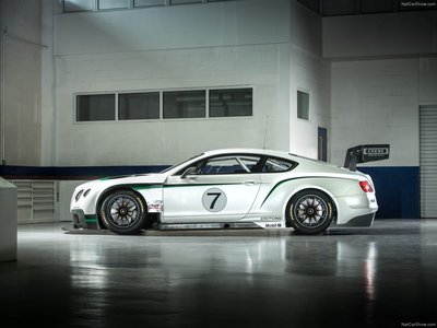 Bentley Continental GT3 Racecar 2014 tote bag