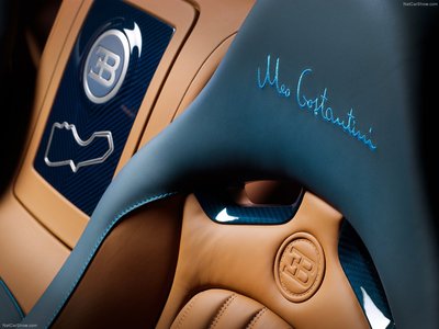 Bugatti Veyron Meo Costantini 2013 Poster 11515