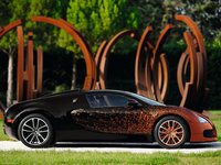 Bugatti Veyron Grand Sport Bernar Venet 2012 stickers 11555