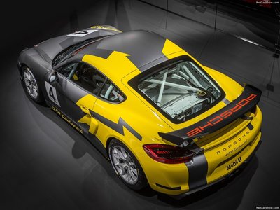Porsche Cayman GT4 Clubsport 2016 poster