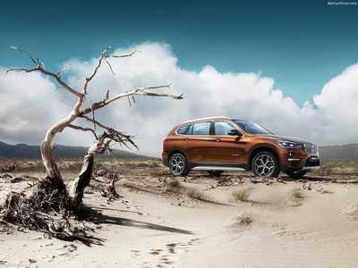 BMW X1 Long Wheelbase 2017 calendar