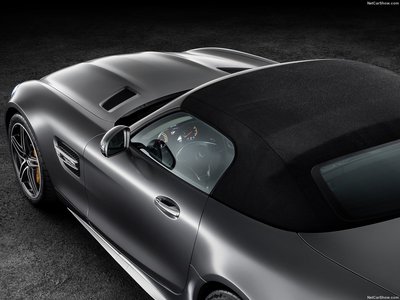 Mercedes-Benz AMG GT C Roadster 2017 calendar