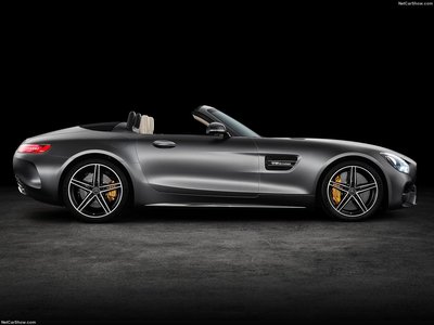 Mercedes-Benz AMG GT C Roadster 2017 stickers 1282029