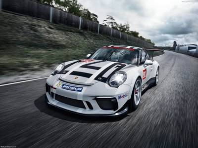 Porsche 911 GT3 Cup 2017 calendar