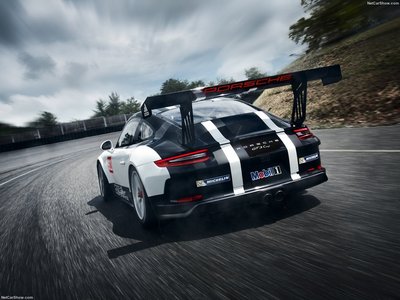 Porsche 911 GT3 Cup 2017 poster