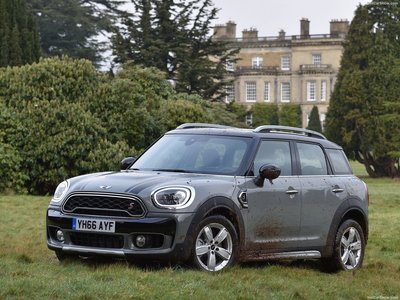 Mini Countryman Cooper S ALL4 2017 puzzle 1292075