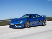 Porsche Cayman GT4 2016 Poster 1297419