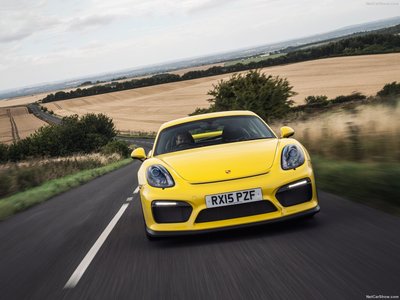 Porsche Cayman GT4 2016 Poster 1297420