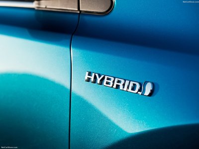Toyota RAV4 Hybrid 2016 stickers 1300769