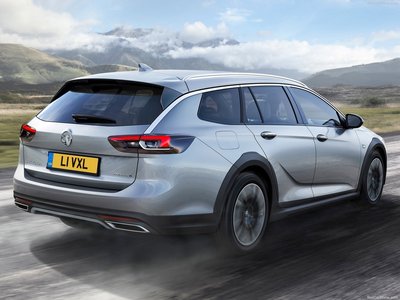 Vauxhall Insignia Country Tourer 2018 poster