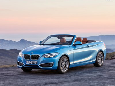 BMW 2-Series Convertible 2018 wooden framed poster