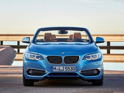 BMW 2-Series Convertible 2018 Mouse Pad 1306114