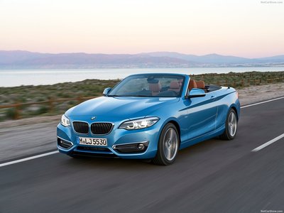 BMW 2-Series Convertible 2018 puzzle 1306115