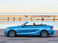 BMW 2-Series Convertible 2018 Poster 1306125