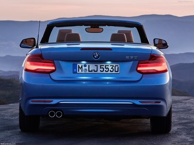 BMW 2-Series Convertible 2018 stickers 1306128
