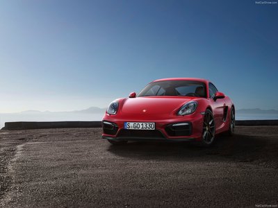 Porsche Cayman GTS 2015 puzzle 1307635