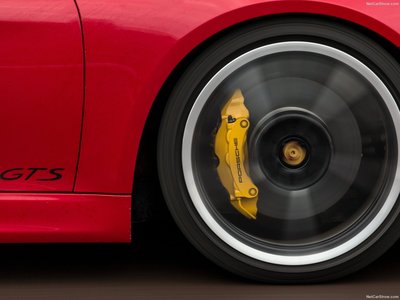 Porsche Cayman GTS 2015 stickers 1307658