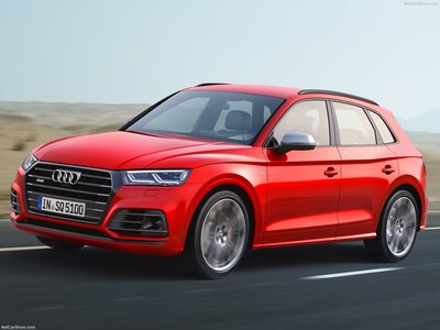 Audi SQ5 3.0 TFSI 2018 mug #1311239