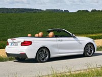 BMW 2-Series Convertible 2018 puzzle 1318637