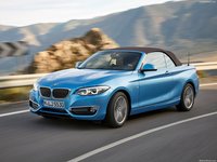 BMW 2-Series Convertible 2018 mug #1318640