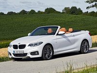 BMW 2-Series Convertible 2018 Poster 1318654