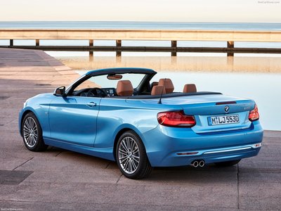 BMW 2-Series Convertible 2018 puzzle 1318660