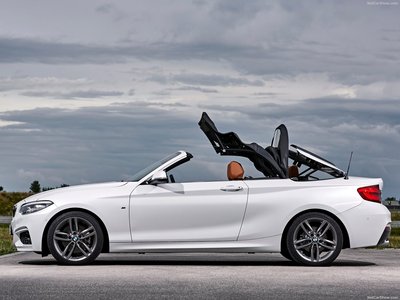 BMW 2-Series Convertible 2018 puzzle 1318664