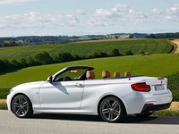 BMW 2-Series Convertible 2018 puzzle 1318666