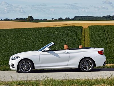 BMW 2-Series Convertible 2018 Mouse Pad 1318672