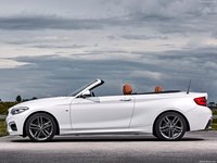 BMW 2-Series Convertible 2018 Poster 1318675