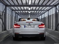 BMW 2-Series Convertible 2018 Poster 1318680