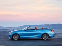BMW 2-Series Convertible 2018 stickers 1318731