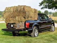 Ford F-150 2018 Poster 1321611