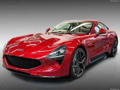 TVR Griffith 2019 pillow