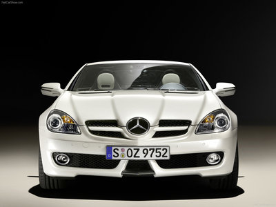 Mercedes-Benz SLK 2LOOK Edition 2009 tote bag #1328160
