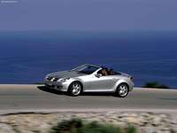Mercedes-Benz SLK200 Kompressor 2005 Poster 1328910