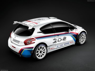 Peugeot 208 R5 Rally car 2013 Poster with Hanger