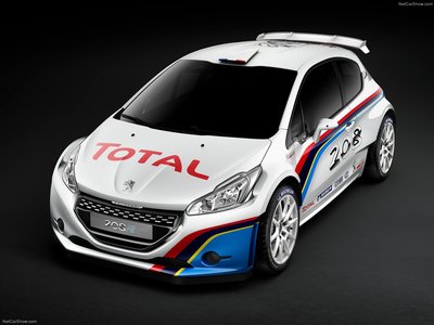 Peugeot 208 R5 Rally car 2013 canvas poster