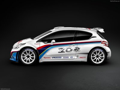 Peugeot 208 R5 Rally car 2013 poster