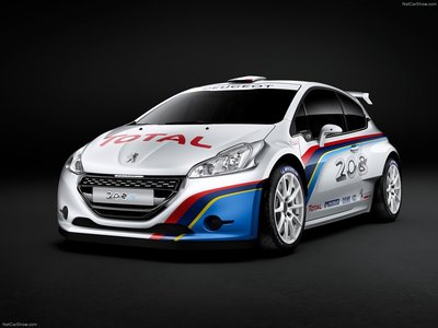 Peugeot 208 R5 Rally car 2013 canvas poster
