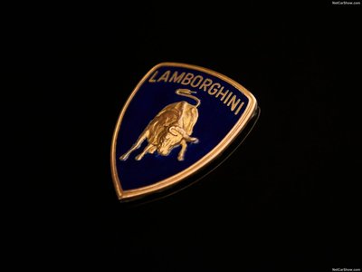 Lamborghini LM 1986 stickers 1340096