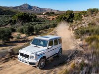 Mercedes-Benz G63 AMG 2019 Poster 1342871