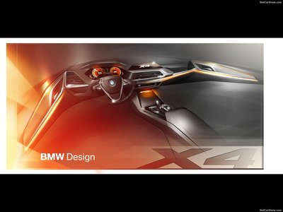 BMW X4 M40d 2019 stickers 1343047