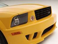 Saleen Ford Mustang S281 3 Valve 2005 hoodie #1344659
