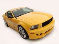Saleen Ford Mustang S281 3 Valve 2005 puzzle 1344660