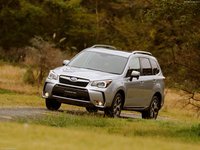 Subaru Forester 2014 Poster 1347363