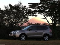 Subaru Forester 2014 Poster 1347420