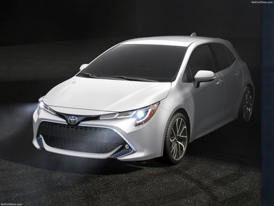 Toyota Corolla Hatchback 2019 Poster with Hanger