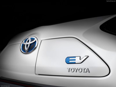 Toyota iQ EV 2013 wooden framed poster
